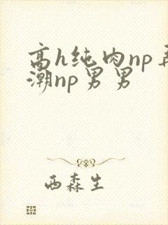 高h纯肉np弄潮np男男