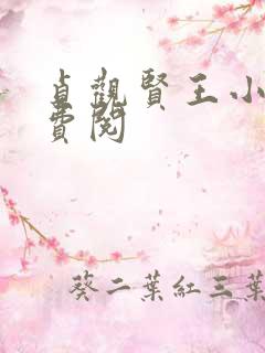 贞观贤王小说免费阅