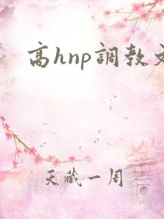 高hnp调教文