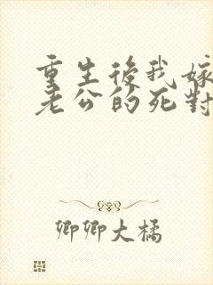 重生后我嫁给了老公的死对头 短剧