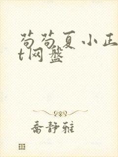 苟苟夏小正txt网盘