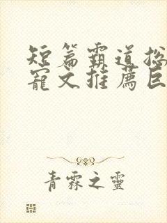 短篇霸道总裁甜宠文推荐巨甜