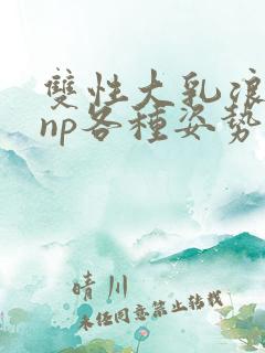 双性大乳浪荡受np各种姿势