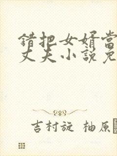 错把女婿当成了丈夫小说免费阅读