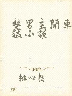 双男主开车非常猛小说