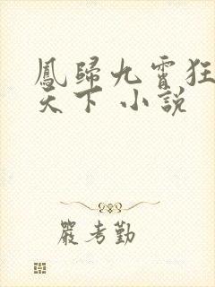 凤归九霄狂妃逆天下 小说