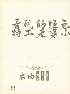 看我的绝色美女特工老婆小说