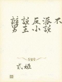 谁说反派不能当男主小说