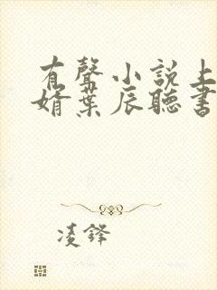 有声小说上门龙婿叶辰听书网