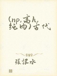 (np,高h,纯肉)古代