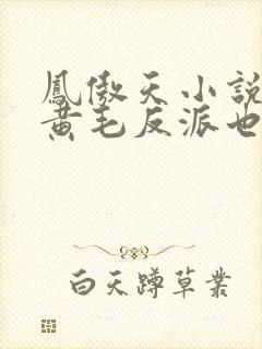 凤傲天小说里的黄毛反派也