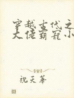 穿越古代之末世大佬霸宠小夫郎