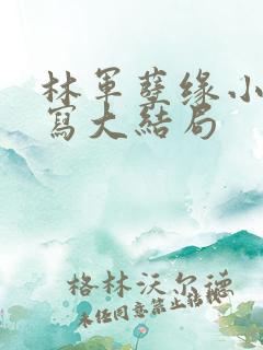 林军孽缘小说续写大结局