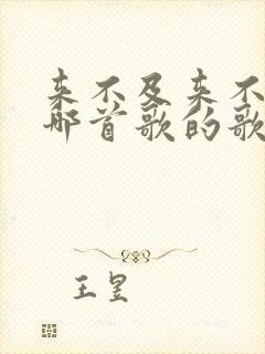 来不及来不及是哪首歌的歌词