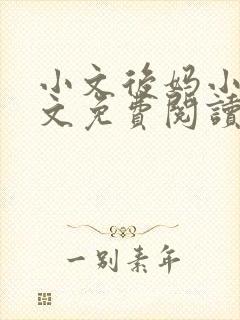 小文后妈小说全文免费阅读最新章节