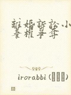 离婚诉讼小孩抚养权争夺