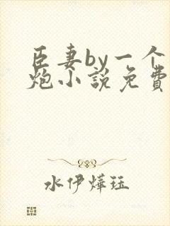 臣妻by一个老炮小说免费阅读