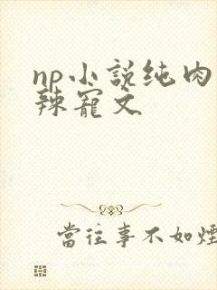 np小说纯肉高辣宠文