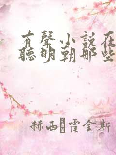 有声小说在线收听明朝那些事儿