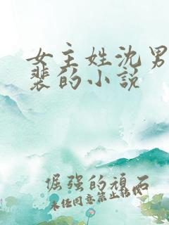 女主姓沈男主姓裴的小说