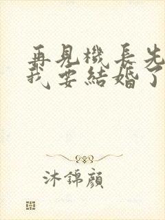 再见机长先生,我要结婚了短剧演员表