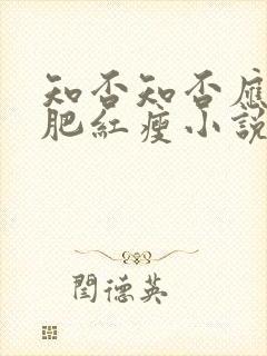 知否知否应是绿肥红瘦小说原著