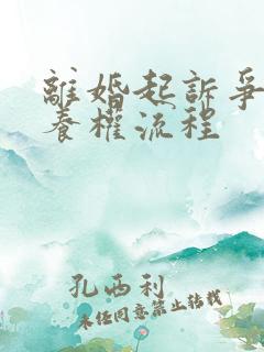 离婚起诉争夺抚养权流程