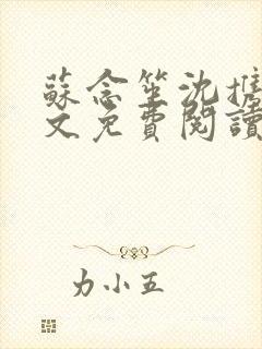 苏念笙沈携西全文免费阅读