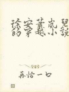 徐安萧岚儿主角的穿越小说免费阅读全文