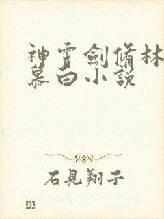 神霄剑修林枫苏慕白小说