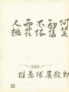 人面不知何处去桃花依旧笑春风什么意思