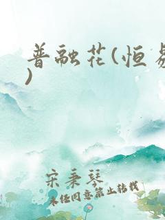 普融花(恒易贷)