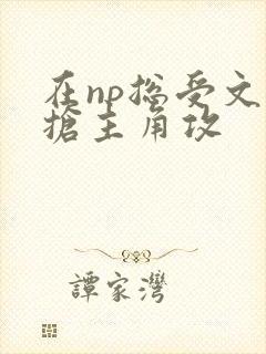 在np总受文里抢主角攻