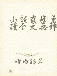 小说巅峰免费阅读全文无弹窗