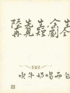 陆先生,余生不再见短剧全集