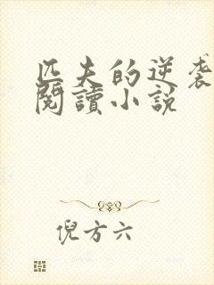 匹夫的逆袭免费阅读小说