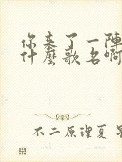 你来了一阵子是什么歌名啊