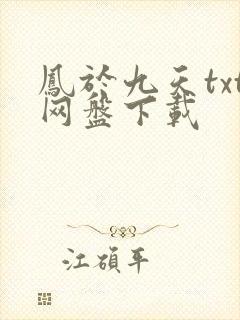 凤于九天txt网盘下载