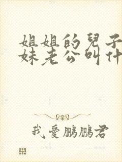 姐姐的儿子叫妹妹老公叫什么