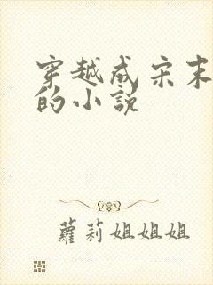 穿越成宋末赵g的小说