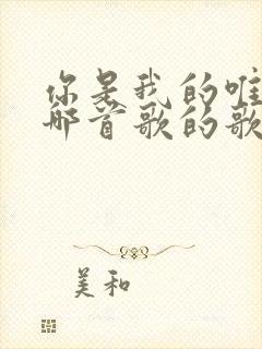 你是我的唯一是哪首歌的歌词