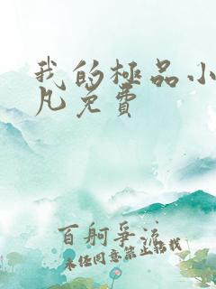 我的极品小姨叶凡免费