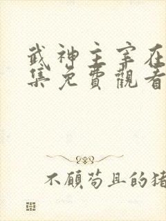 武神主宰在线全集免费观看