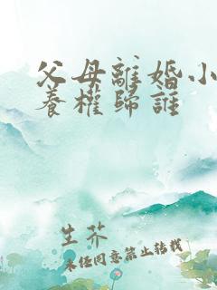 父母离婚小孩抚养权归谁