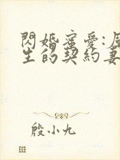 闪婚蜜爱:厉先生的契约妻