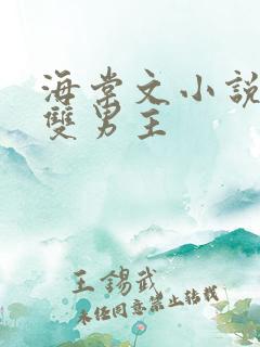 海棠文小说推荐双男主