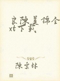 良陈美锦全本txt下载