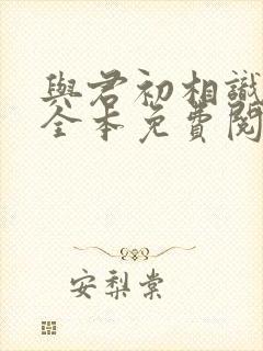 与君初相识小说全本免费阅读笔趣阁