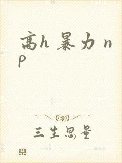 高h 暴力 np