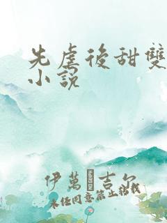 先虐后甜双男主小说